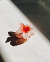 Load image into Gallery viewer, Sunset Flower Claw Clip
